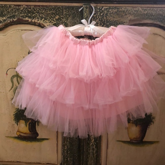 Pottery Barn Kids Other - Pottery Barn Kids pink tutu
